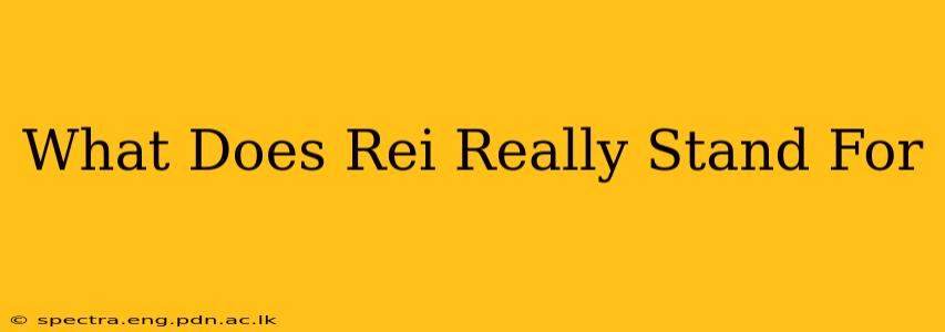 What Does Rei Really Stand For