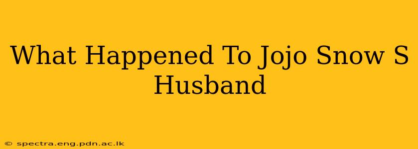 What Happened To Jojo Snow S Husband