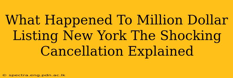 What Happened To Million Dollar Listing New York The Shocking Cancellation Explained