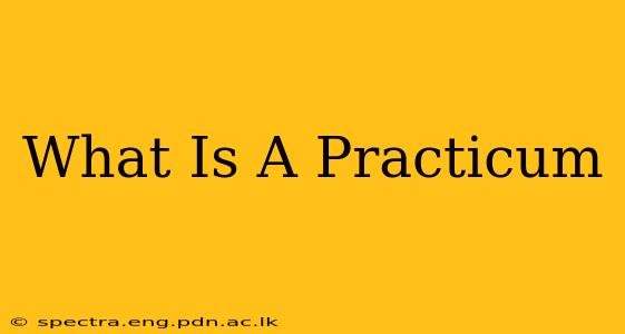 What Is A Practicum