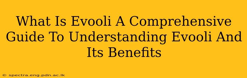 What Is Evooli A Comprehensive Guide To Understanding Evooli And Its Benefits