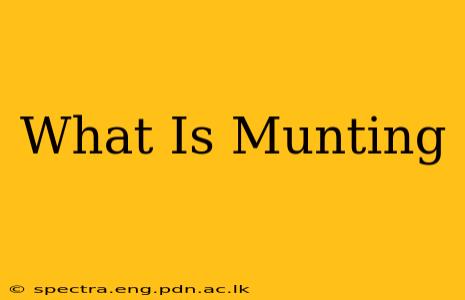 What Is Munting