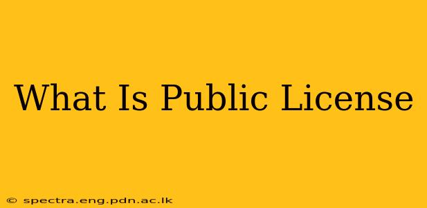 What Is Public License