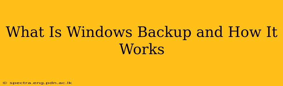 What Is Windows Backup and How It Works