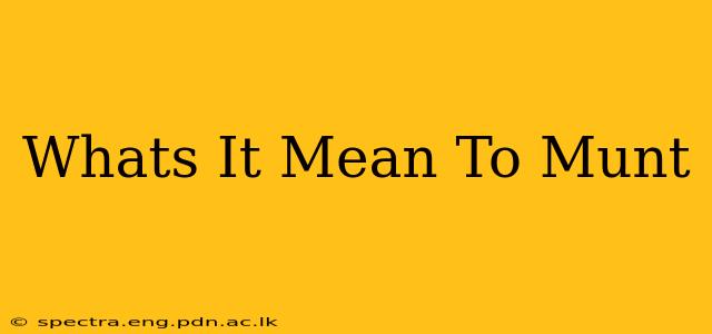 Whats It Mean To Munt