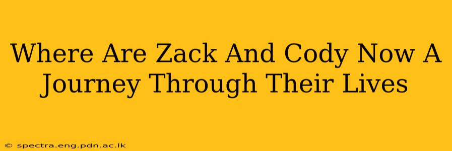 Where Are Zack And Cody Now A Journey Through Their Lives