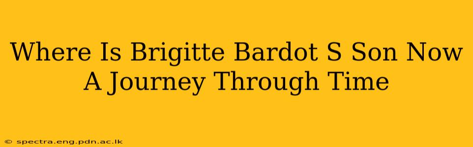 Where Is Brigitte Bardot S Son Now A Journey Through Time