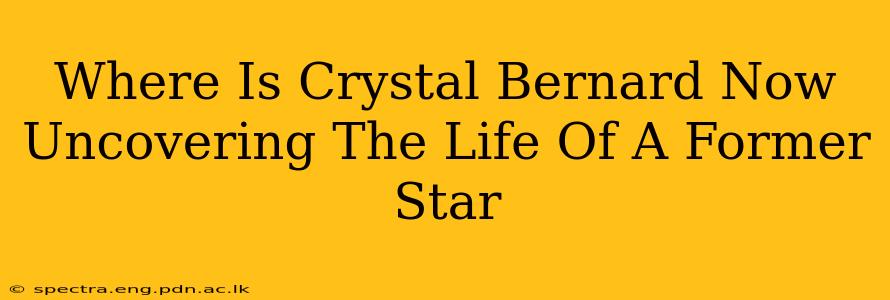Where Is Crystal Bernard Now Uncovering The Life Of A Former Star