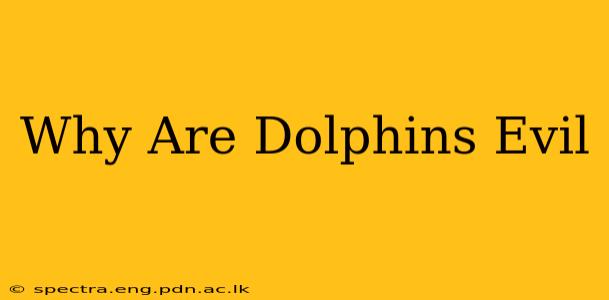Why Are Dolphins Evil