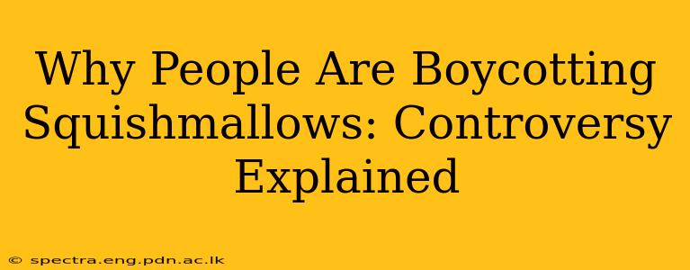 Why People Are Boycotting Squishmallows: Controversy Explained