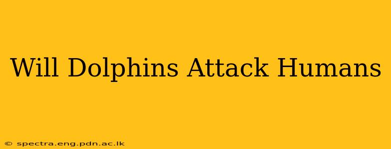 Will Dolphins Attack Humans