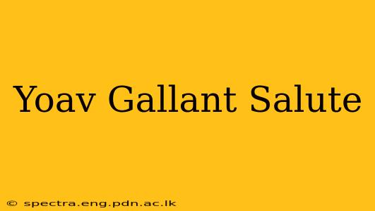 Yoav Gallant Salute