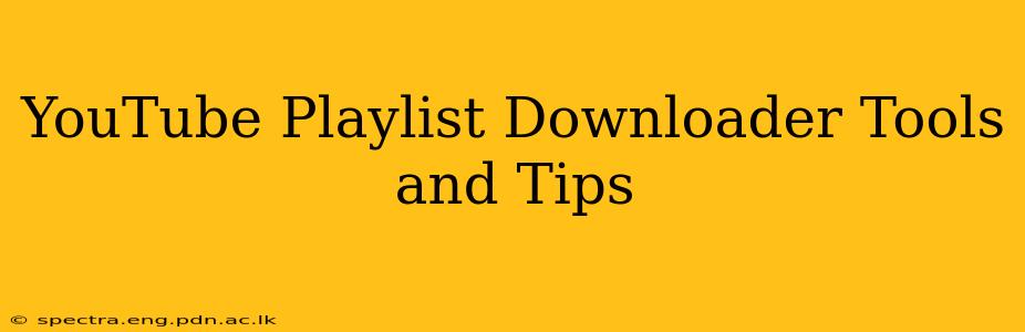 YouTube Playlist Downloader Tools and Tips