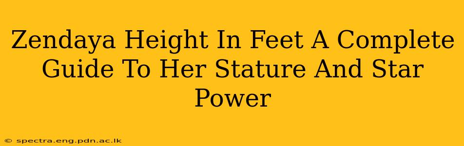Zendaya Height In Feet A Complete Guide To Her Stature And Star Power