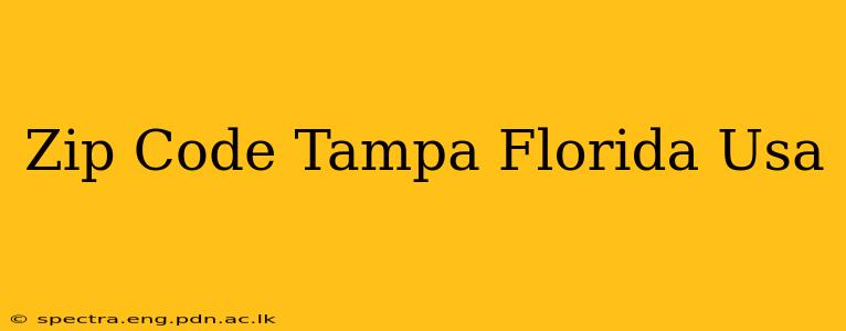 Zip Code Tampa Florida Usa